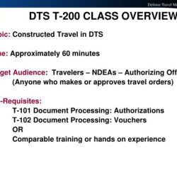 Dts travel card 101 answers