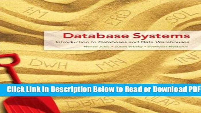 Database systems introduction to databases and data warehouses edition 2.0