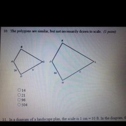 Polygons similar necessarily but drawn scale value find