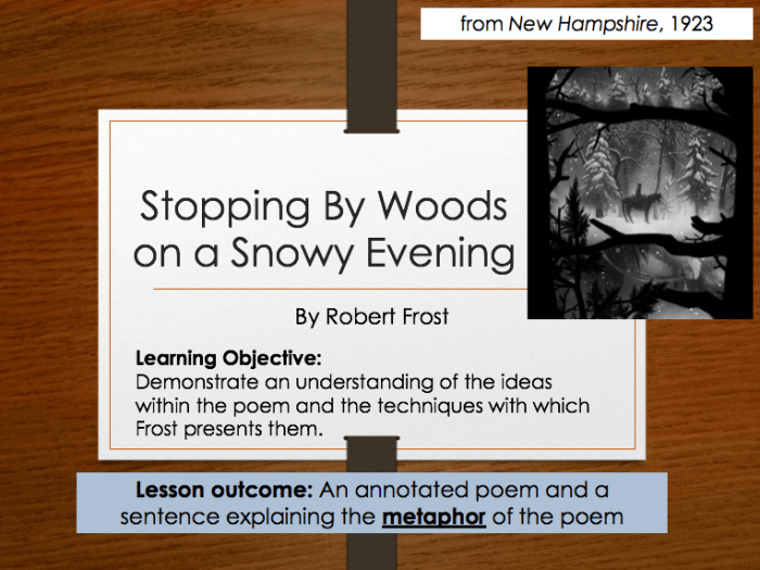 Stopping snowy woods lesson evening worksheet